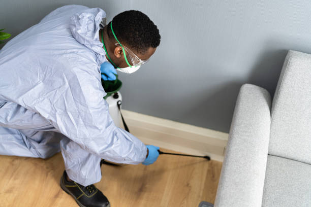 Best Real Estate Pest Inspections  in Willow Street, PA